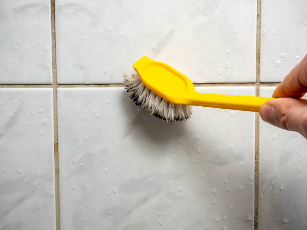 Ansted, WV Mold Remediation Company